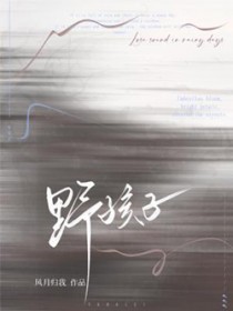 野孩子